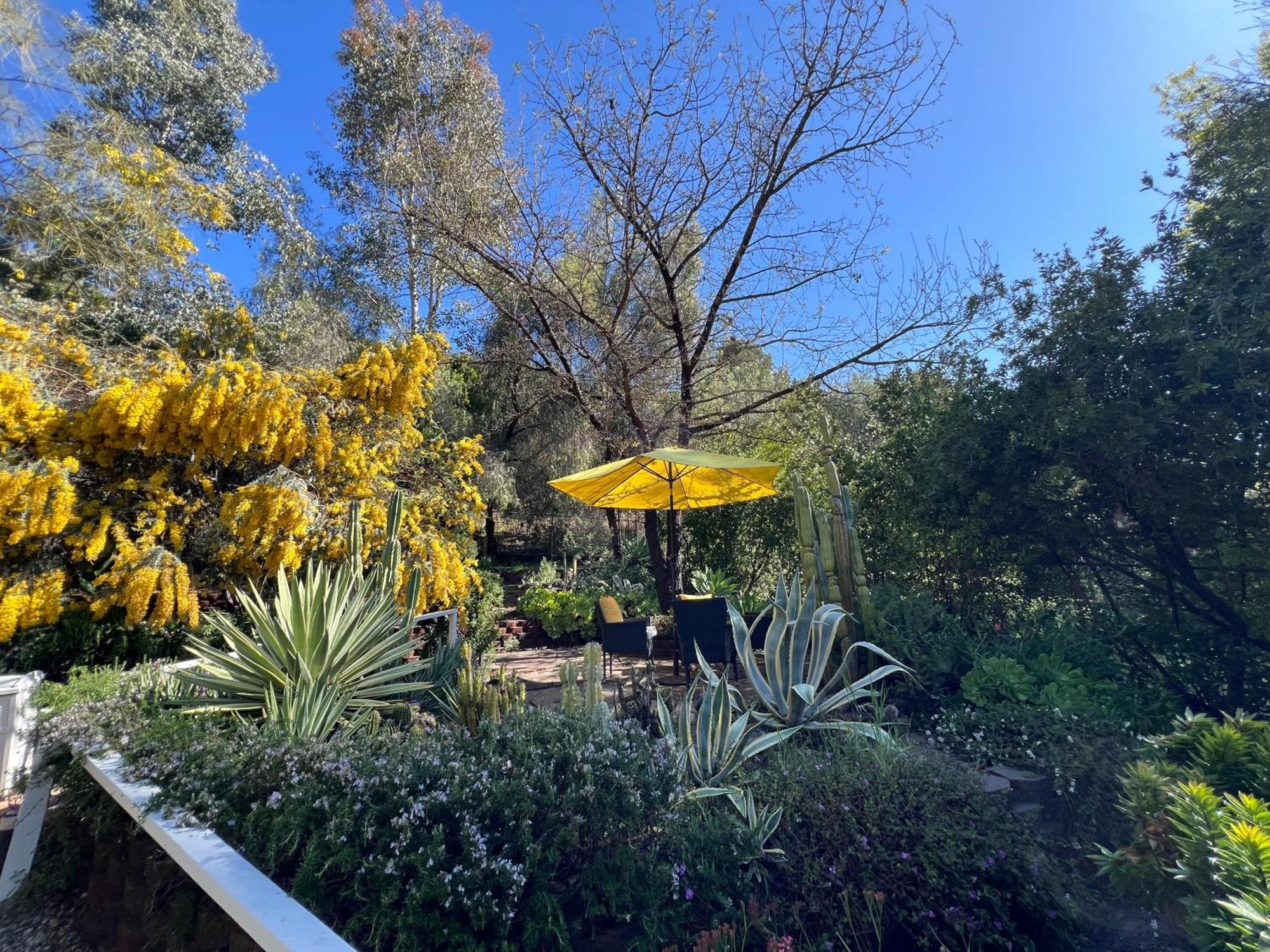 Villa La Reforma - Newly Designed 4Br House & Pool In Los Angeles By Topanga المظهر الخارجي الصورة